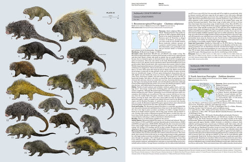 Handbook of the Mammals of the World no 6 -Lagomorphs and Rodents -  Lynx 2016